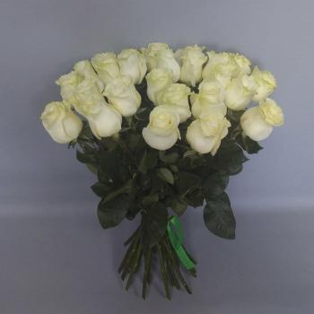 Букет 25 белых роз (50 см)