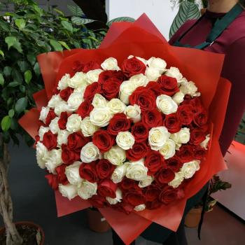 Букет из 101 розы (красные и белые розы) [articul  78614vld]
