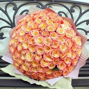 Букет Оранжевые розы Эквадор 101 шт (50 см) (Артикул - 137356)