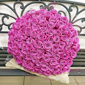 Розовые розы Эквадор 101 шт (50 см) [артикул букета: 137264vlad]